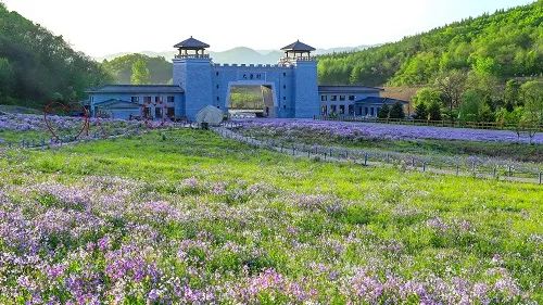 喜報！鳳城市大梨樹村再獲四項“國字號”榮譽